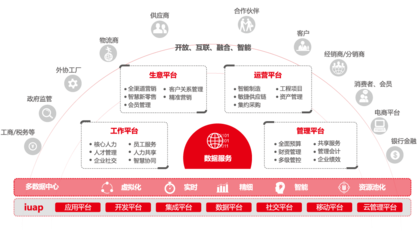 软件产品与基础软件服务 数字化转型的双引擎